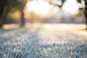 THE BEST Irrigation near East Setauket, NY