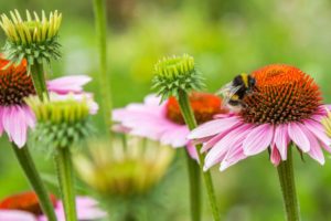 THE BEST Irrigation near Poquott, NY