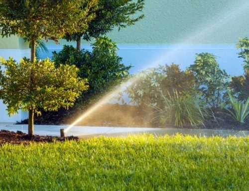 Sprinkler System For A Business