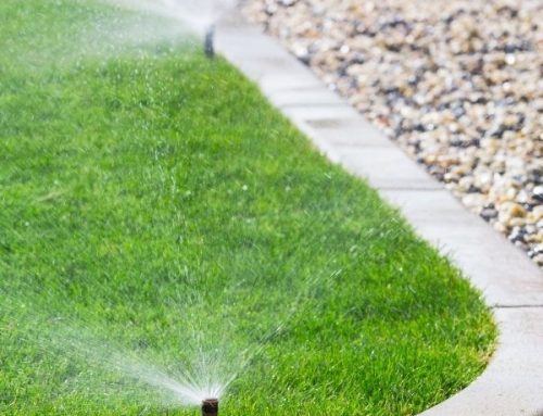 Lawn Sprinkler Design