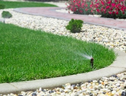Sprinkler Repair Near Me