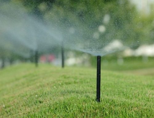 Long Island Irrigation Companies