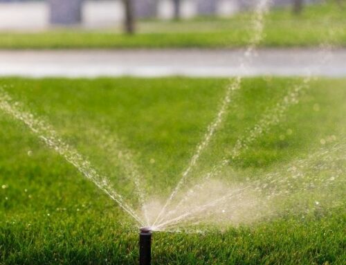 Sustainable Landscaping with Sprinkler Systems
