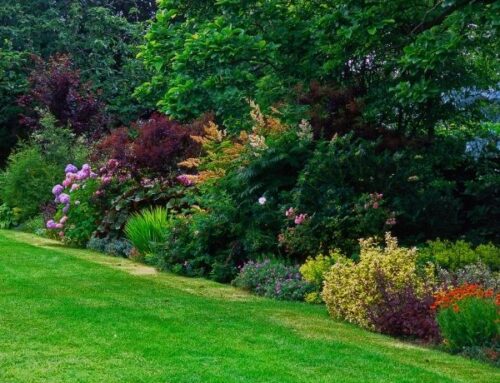 Lawn Irrigation System | Design, Repair & Care