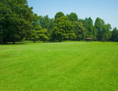 Sprinklers Water Pressure Low | Causes & Solutions