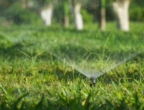 Irrigation System Design Services