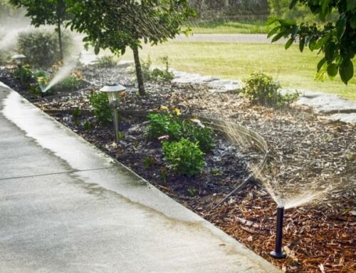 Spring Sprinkler Startup | Precision Lawn Irrigation