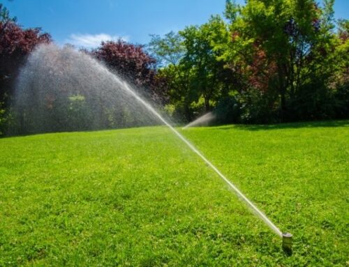 Sprinkler System Maintenance | Precision Lawn Irrigation