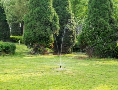 How to Turn On a Sprinkler System