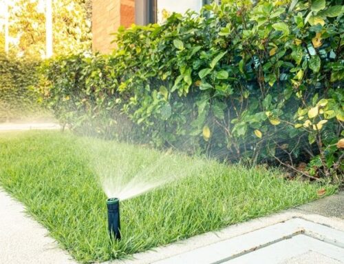 The Role of Professional Maintenance in Extending the Life of Your Sprinkler System