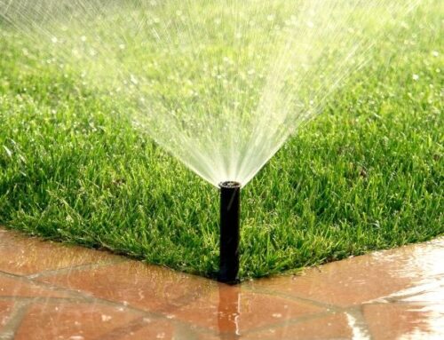 How Professional Sprinkler System Winterization Prevents Costly Repairs in Suffolk County