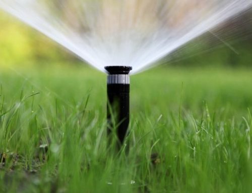 Commercial Irrigation Installation