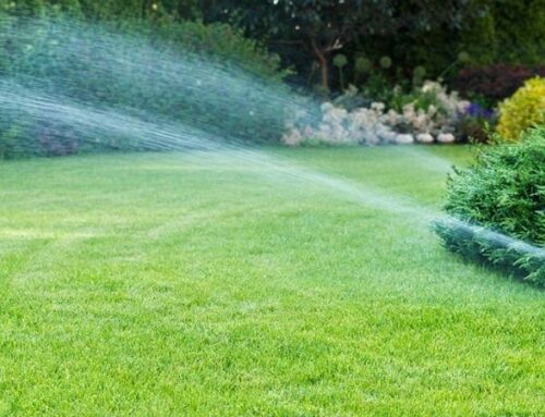 The Benefits of Professional Sprinkler System Adjustments for the New Year
