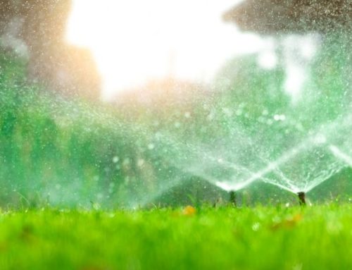 Design Lawn Sprinkler System