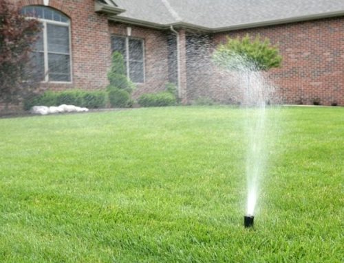 Lawn Sprinkler System Contractor