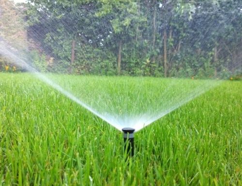 Design Lawn Sprinkler System