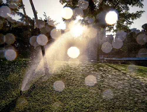 What Happens During a Professional Sprinkler System Blowout?