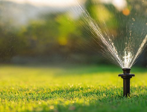 Signs Your Long Island Sprinkler System Needs Repair Before Fall