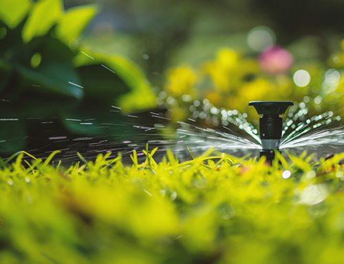September Sprinkler Maintenance for a Healthier Fall Lawn