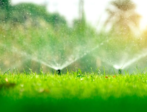 Why Fall Sprinkler Inspections Prevent Expensive Spring Repairs
