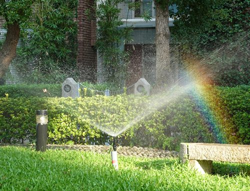 Late Summer Sprinkler Maintenance Checklist for Long Island Lawns